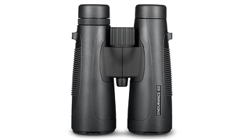 Binoculars Fullsize