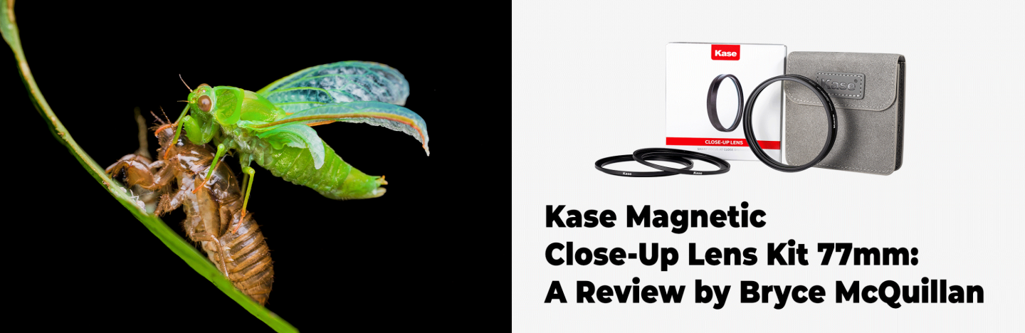 Kase 77mm Close Up Kit - Review by Bryce McQuillan